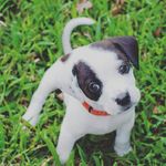 lani houston - @libirdan2007 - Instagram