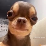 @lanil_opez - Instagram