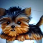 Lady C - @lanitawalker7 - Instagram