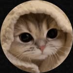 geoven 蓝俊宁 - @geovenlanjunzhu - Instagram