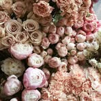 Lanlan Jiang - Facebook