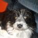 Lanny Black - Facebook