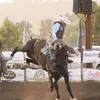 Lanny Brooks - @lanny_brooks - TikTok