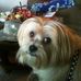 Lanny Carmichael - Facebook