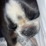 Lanny Carter - @lennycarter636 - Instagram