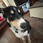 Landon Cook - @lannycook157 - Instagram