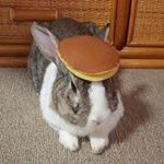 Lanny Dean - @lanny89125 - Instagram