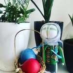 Lanny Greenwald - @lannygreenwald - Instagram