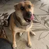 laney_howell38 - @laney_howell38 - TikTok