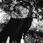 Lanny Smith - @smith_lanny - Instagram