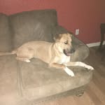 Lanny Tyner - @la.nny5338 - Instagram