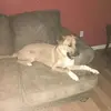 Lanny Tyner - @lanny.tyner - TikTok
