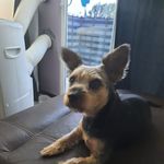 Lanny Walker - @lannywalker25 - Instagram