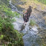 Lanny weaver - @weaver.lanny - Instagram