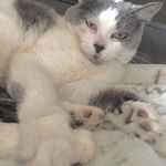 Nora - @la_nora_jones - Instagram