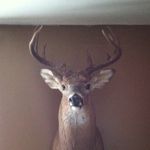 Lantz Ethan Smith - @ethansmith931 - Instagram