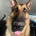 Lantz Smith - @lantz___ - Instagram