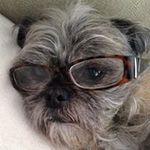 Ramona Lantz Smith - @ramonasmith6479 - Instagram