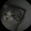 Lao lin - @8.letter_ - TikTok