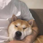@lao_woo - Instagram