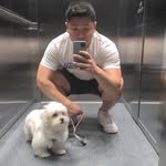 Lap shun Chung - @lappysc - Instagram