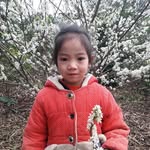 Lap Luong - @lap.luong.357 - Instagram