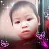 Lap Luong - @lapluong32 - TikTok