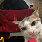 Lap Luongvan - Facebook