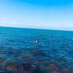 Lập Phan - @lapphanquoc - Instagram