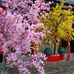 Lập Phan - Facebook