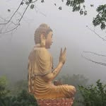 Lap Phan - @laapphan - Instagram