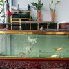Lap Phan - @lap.phan5 - TikTok