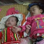 Lap Phan Van - @lap.phanvan - Instagram