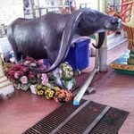 Lap Truong Nguyen - @laptruongnguyen - Instagram