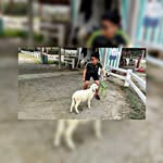 lapfung - @wong.lap - Instagram
