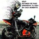 Lara Barth - @alfred.bart.3 - Instagram