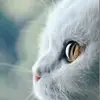 lara bennett - @lara2345679105 - TikTok
