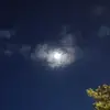 larab - @larabird7 - TikTok