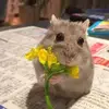 Lara Bishop - @lara.bishop5 - TikTok