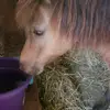 larablakeney - @larablakeney - TikTok