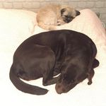 Lara&Bliss&Taca&Tica&Pistacho - @lara_bliss_taca_tica_pistacho - Instagram