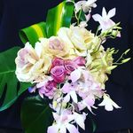 @lara_blooms - Instagram