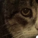 Lara Boyle - @misty_sebuu_smeegybaby - Instagram