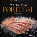 Lara Branco - @lara.branco_ocean.seafood - Instagram