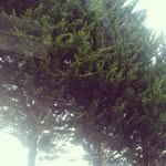 larabray - @lara.bray2011 - Instagram