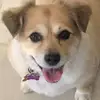 Lara Calderon - @lara.calderon - TikTok