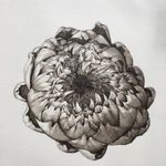 Lara Call Gastinger - @laragastinger - Instagram