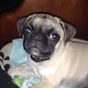 Larah_carson🐢 - @xx_larah_xx - TikTok