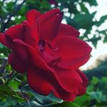 lara c - @lara_castle207 - Instagram