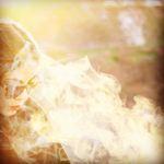 lara.cobbin - @lara.cobbin - Instagram